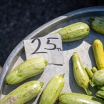 Altin-Fiyatlari-Tarihi-Zirvede-Gram-2.100-TL8217yi-Asarak-Rekor-Kirdi-featured