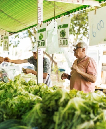 Altinda-Son-Durum-Hafta-Sonu-Fiyatlari-ve-Yon-Degisimi-Sinyalleri-featured