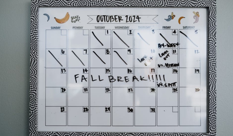 Ciftcilere-Yonelik-2024-Temel-Destek-Odemeleri-Basladi-Takvim-Aciklandi-featured