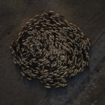 Kurbanlik-Fiyatlari-2024-Buyukbas-ve-Kucukbas-Kurbanliklar-Ne-Kadar-featured