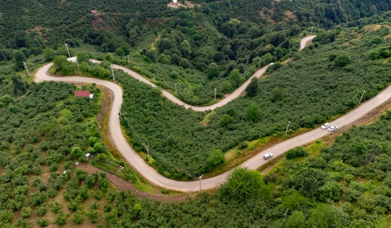 Turkiye8217nin-Yesil-Donusum-Yol-Haritasi-2053-Net-Sifir-Hedefi-ve-Ekonomik-Firsatlar-featured